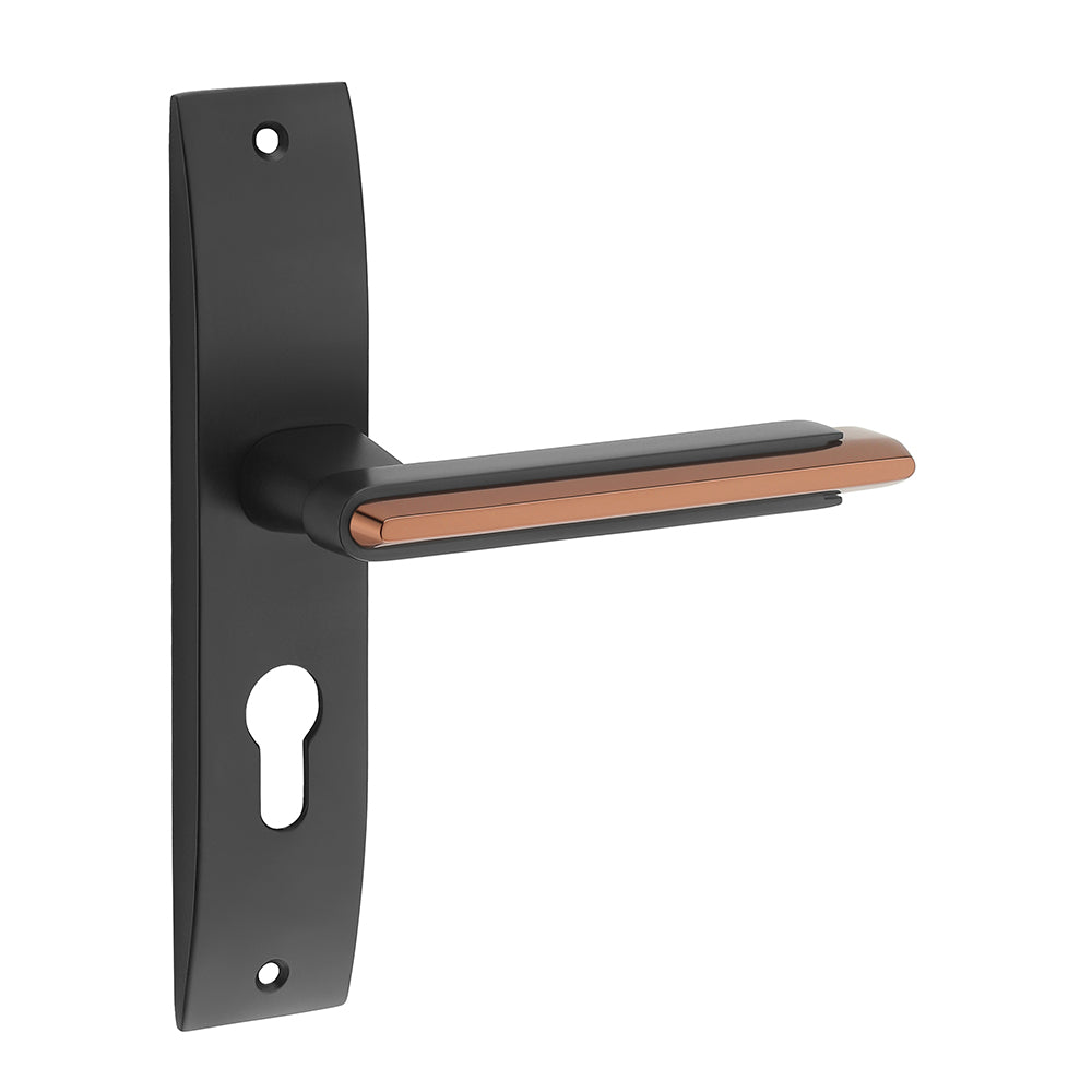 IPSA Lead Iris Handle Series on 8" Plate CYS Lockset with 60mm Both Side Key - Matte Finish BRG